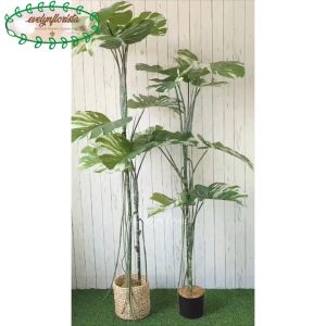 Pohon Hias Monstera Variegata T170 & T190 Latex Pot Dasar Hitam Cover Eceng Gondok Hiasan Rumah Aesthetic
