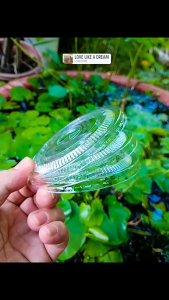 NẮP BẰNG 98 nhựa PET trong suốt – NẮP LY PET MIỆNG 98 | ĐÓNG GÓI 2.000 CÁI/THÙNG
