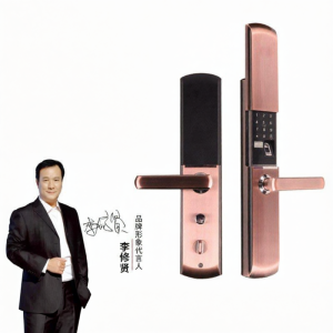 Fingerprint Remote Control Security Smart Lock for Wood Doors