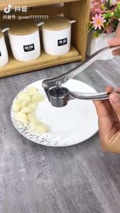 Aluminum alloy Garlic Crusher / Garlic Presses Gadget / Ginger Squeezer Masher
