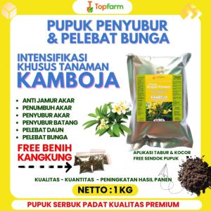 Pupuk Untuk Bunga Kamboja / Pupuk Kamboja / Pupuk Bunga Kamboja Japan / Pupuk Tanaman Bunga Kamboja / Pupuk Bunga Kamboja