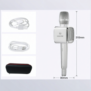soaiy | All-in-one Wireless Microphone Speaker For Home KTV