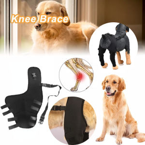 Knee Pain Relief & Support for Dogs: A Comprehensive Guide