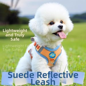 Small Dog Harness Leash Pet Chest Back Belt