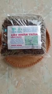 100g cây nhân trần sấy khô