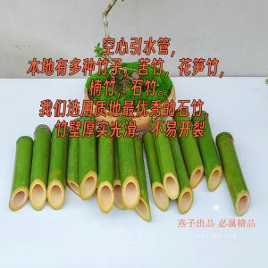Natural Hollow Bamboo Tube Slanted Cut Garden Water Feature Flower Arrangement Drain Pipe Chinese Style Home Decor Ornament