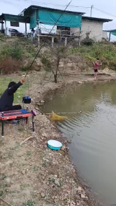 หัวอาหารปลา ชุดจัดโปร โปร สูตร 4 แพ็คคู่คุ้มกว่า