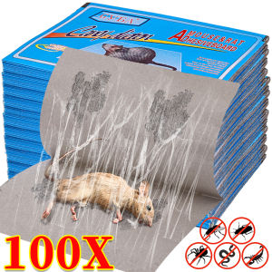 100/50pcs Super Sticky Glue Rat Board / Large Size Mouse Trap Boards / Mouse Sticky Board Bait Traps