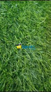 (1PAK ISI 20PCS) JOYKO ERASER 526 B20 PUTIH