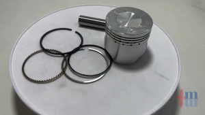 Piston Kit Std Grand/Supra/Win/Prima 131A5-GN5-913 X TMW M1000