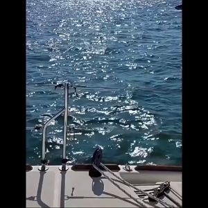 MK01 Mắt kính thời trang form nhỏ Hiphop kiểu dáng sành điệu trẻ trung Kính Mắt Women Chống Nắng