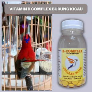 Vitamin B Complex Burung Kicau Untuk Meningkatkan Daya Tahan Tubuh