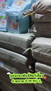 Boqi Factory Cocoyo แผ่นรองฉี่สุนัขและแมว บ๊อกด็อก และ จิจิโกะ ดูดซับกลิ่น (มีราคาส่ง) ไซส์ส์