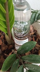 น้ำขี้เถ้าถ่านสกัดบริสุทธิ์ สะอาด ใส ช่วยปรับสภาพของดิน ช่วยให้พืชเจริญเติบโต ปลอดภัย 100% :ซื้อ 1 แถม 1 ตามโปร ขนาด 500 ML.