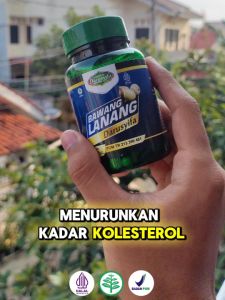 Kapsul Bawang Lanang Darusyifa Penurun Kolesterol Diabetes Obat Asam Urat Darah Tinggi Paling Ampuh