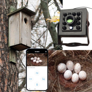 Camera WiFi Cho Chuồng Chim 5MP 2MP POE Dễ Lắp Đặt Dùng Cho Chuồng Chim Máng Ăn Có Chế Độ Ban Đêm Tích Hợp IR Cut Phù Hợp Với Hầu Hết Các Địa Điểm Làm Tổ