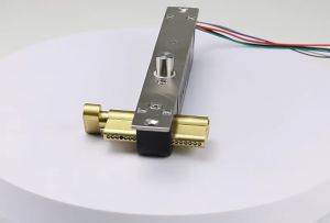 Chốt khóa rơi điện từ kèm chìa khóa cơ loại thường khóa 5 dây 12VDC có độ trễ 0-3-6-9 giây (mất điện mở bằng chìa khóa cơ)