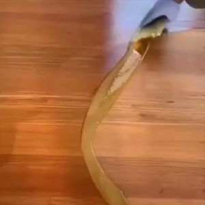 BEESWAX ORIGINAL Cairan Purnish Pengkilap Pelapis Parket Kayu Woods Shining