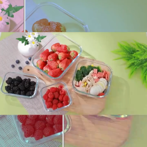 XTEN Microwavable Food Container Glass Food Container Food Storage with Cover Lunch Box Transparent