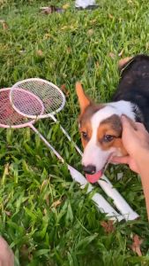 Vợt cầu lông Kumpoo K520 Pro chính hãng 84g 4U/G5 đan dây theo yêu cầu của bạn