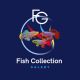fish_collection_galery