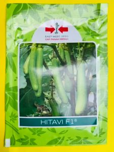 Benih terong hijau HITAVI F1 tahan layu bakteri & GV. dari cap panah merah. Isi ±1100 btr joss tenan!!!