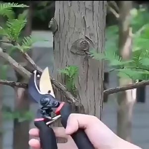 Sk5 Pruning Shears Garden Scissors Tree Cutter Plant Scissor Clip Pruning Shears Trimmer Cutter Gunting Pokok Bunga