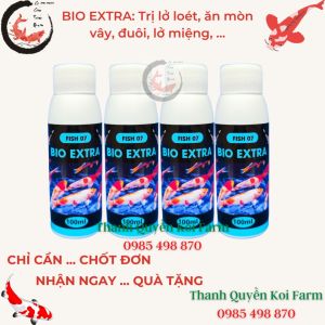 Phòng trị lở loét ăn mòn vây nhiễm trùng túm lắc cho cá Fish 7