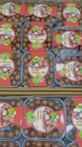 Hạt Macca Nứt Vỏ Tân Lộc Phát Hộp 500g [HỘP TẾT]