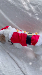 คริสต์มาส ซานตาครอส ชุดคริสต์มาสสัตว์เลี้ยง ยี่ห้อ DOGGYDOLLY ชุดซานต้า ชุดแซนตี้ Christmas เสื้อผ้าสุนัข เสื้อหมา เสื้อแมว ซานต้าหมา ซานต้าแมว