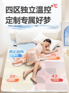 Rainbow Brand Double-Sided Quad-Temperature Zone Electric Blanket Intelligent Timed Dust Mite Elimination Home Use Heated Mat