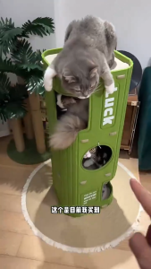Multi-layer Cat House for Indoor Cats Pet Climbing Frame Integrated Cat Tree Double-layer Scratching Board Enclosed Cat