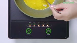 SAMONO Kompor Listrik Induksi 100-600W Waterproof WS-01