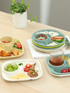 Portable Barbecue Picnic Tray Portion Control Plate For Healthy Eating For Adults Kids Dinner Plate