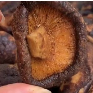 key: เห็ดหอมอบกรอบ, เห็ดอบกรอบ, ผักอบ, ผักอบกรอบ, พร้อมทาน, เกรด, AAA, ผลิตใหม่, คีโต, ไม่เหม็นหืน