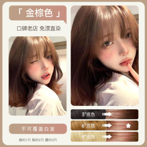 Blue Lotus Fusion Hair Dye Cream Warm Brown Yellow Series Light Golden Linen Color Highlighting Hair Dyeing Paste Sunset Orange