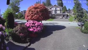 VSmaHome Wireless IP Camera Security Alarm Camera 1080P Full HD 2MP wifi Network Video Surveillance Night Vision CCTV Home Camera Baby Monitor