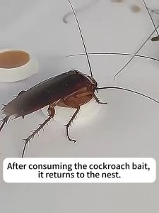 1Box16Pcs GO Cockroach Killer Gel Bait: A Safe & Effective Solution