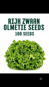 Olmetie Seeds 100 pcs | High Germination Vegetable Seeds for Home Gardening Urban Farming Pots Backyard Planting & Hydroponics | Fast Growing Easy to Plant Ideal for Beginners and Professional Growers