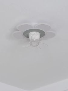 Chigo | Variable Frequency Ceiling Fan Light with Oscillating Function