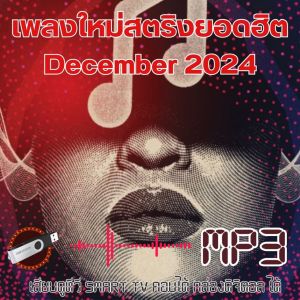 SB แฟลชไดรฟ์ - MP3 รวมเพลงฮิต TOP 100