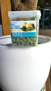Freeze Dried Cat Grass Chicken Cube Ready To Eat Snek Kucing Pet Treat Hairball Solution 无添加猫草冻干 猫咪零食