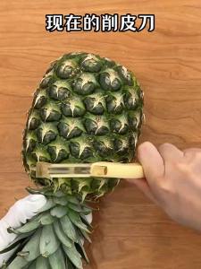 SHUEHO | Multi-function Peeler