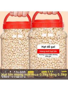 Hạt Thông Đỏ Cao Cấp Lớn