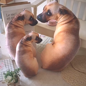 หมอนหมาหงอย3D หมอน3มิติ นุ่มนิ่มน่ากอด ใช้เป็นของขวัญเพื่อนขำแน่นอน