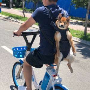 Pet Multi-Purpose Riding Backpack 40 pounds