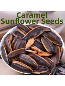 New Crop Large Kernel Original Five Spice Red Date Caramel Sunflower Seeds 500g