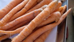 Sayur Segar - Wortel Brastagi Impor / Fresh Carrot