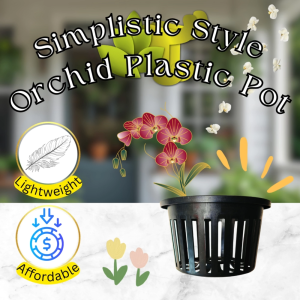 [P100] - Simplistic Style Orchid Plastic Pot Air-Boost Orchid Pot Clear Plastic with Extra Drainage