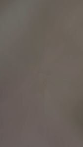 KERIPIK BELINJO PEDAS SOPONYONO ORIGINAL KRIPIK EMPING BELINJO PEDAS ASLI MALANG